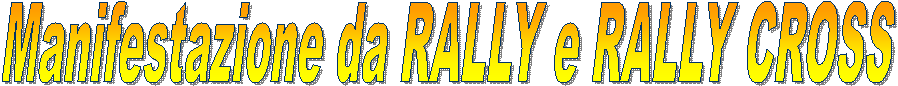 Manifestazione da RALLY e RALLY CROSS
