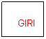 Casella di testo: &nbsp;&nbsp; GIRI
&nbsp; FATTI

