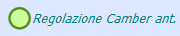 Regolazione Camber ant.