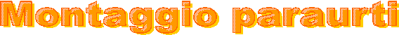 Montaggio paraurti