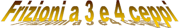 Frizioni a 3 e 4 ceppi