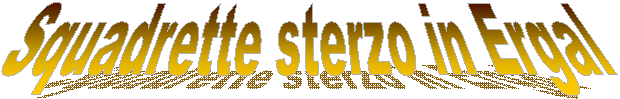 Squadrette sterzo in Ergal