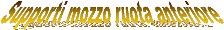 Supporti mozzo ruota anteriore